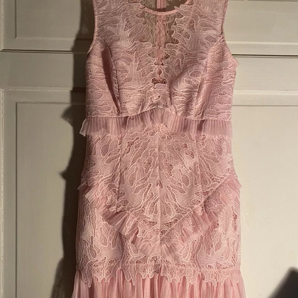 Breathtaking Bardot Francesca Lace Dress in Pink US Size 6 - Picture 3 of 8